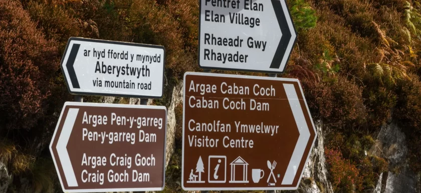 Target to reach one million Welsh speakers by 2050 has been set – but how likely is it?